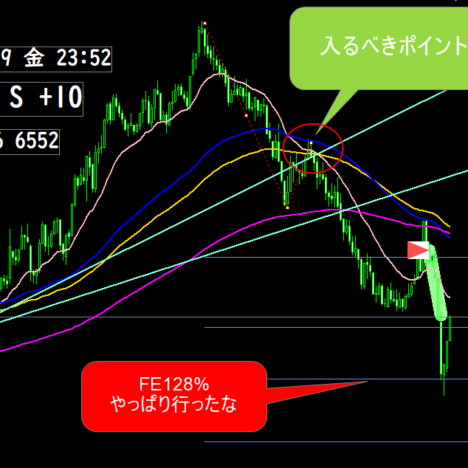 週間報告2021/04/05～04/09