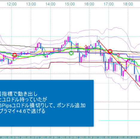 +13.5Pips