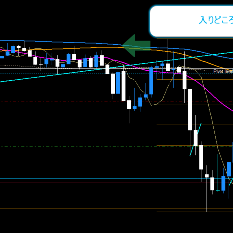 +53pipsx2本