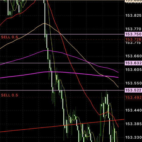 +53pipsx2本